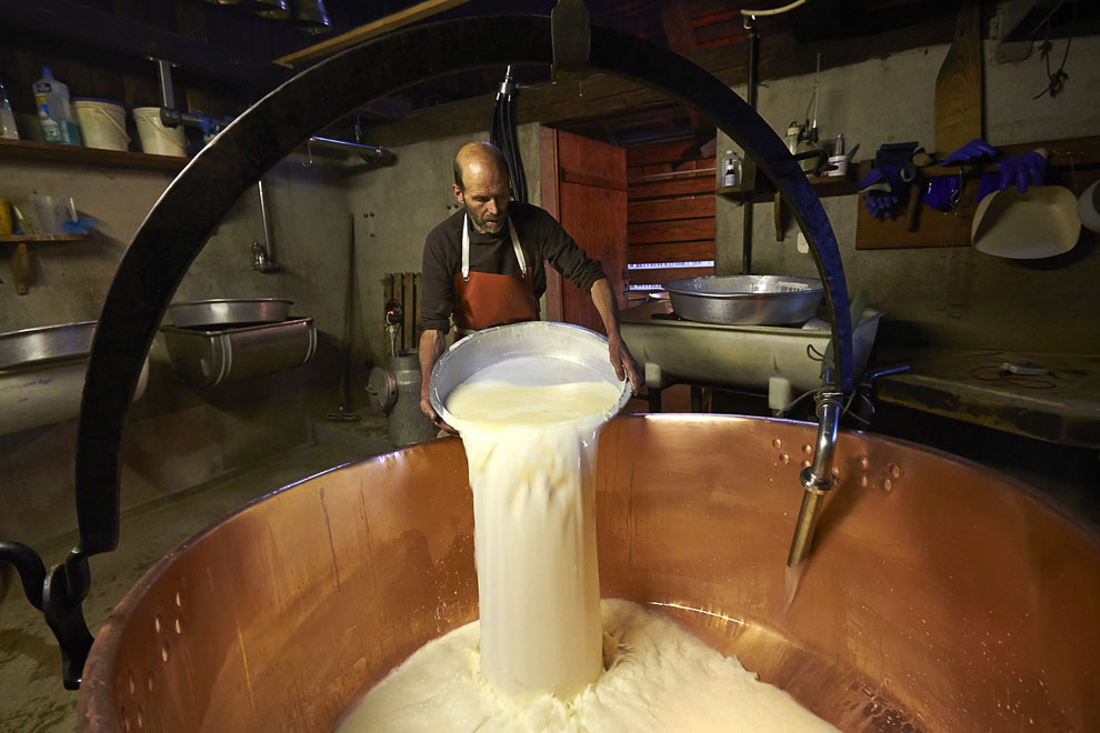 Как изготавливают сыр в Швейцарии