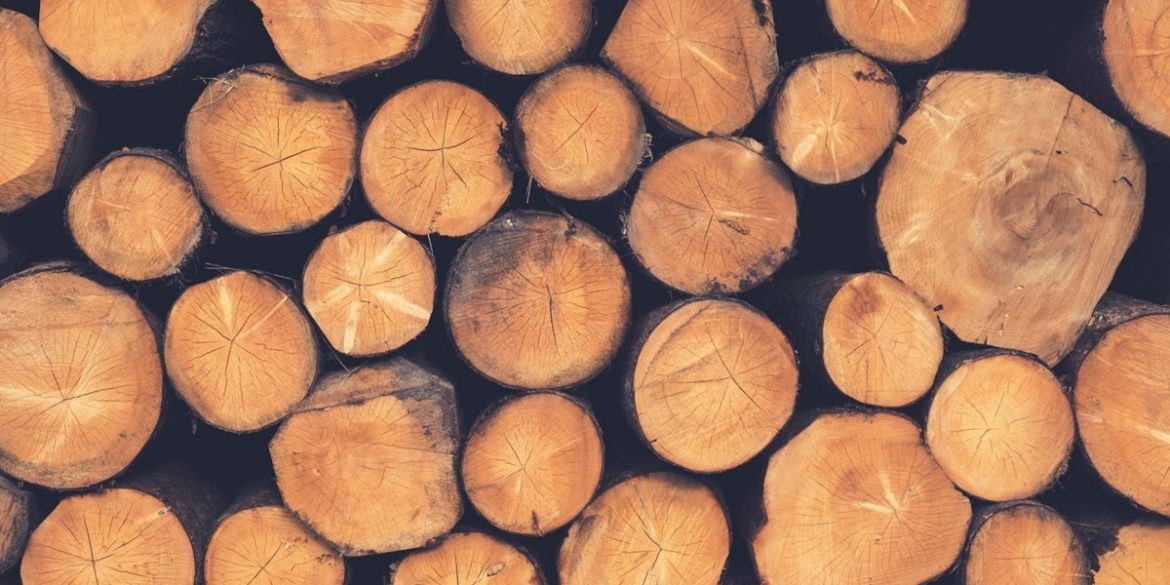 Самые популярные породы дерева и их использование